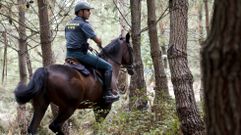 La caballer�a de la Guardia Civil se suma a la b�squeda del desaparecido de Baiona
