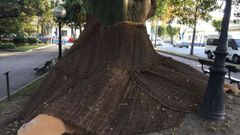 Protecci�n que ha instalado el Ayuntamiento en el omb�  de los jardines de M�ndez N��ez 