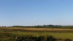 Turbera de los montes de O Bocelo. Estos entornos bajos en ox�geno acumulan una gran cantidad de co2