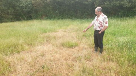 El ganadero Javier Prieto, en un prado de Labrada (Abad�n) en el que este a�o prev� recoger la mitad de hierba que en anteriores campa�as 