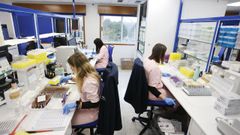 En el laboratorio de Fontao se trabaja para clientes de dentro y de fuera de Galicia