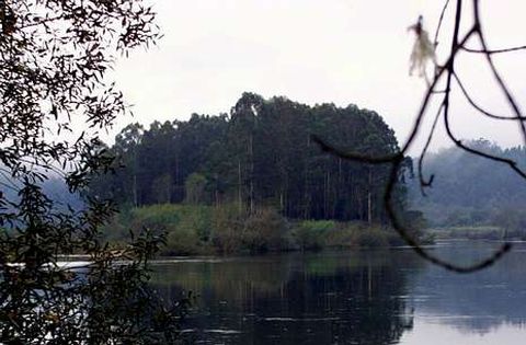 La isla antes de perder los eucaliptos que ser�n sustituidos por otras especies aut�ctonas.