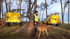 Imagen del operativo de esta ma�ana