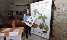 MIla Orol, autora del cartel ganador de esta edici�n, el d�a de su presentaci�n. 