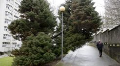 <span lang= es-es >Mobiliario urbano destrozado</span>. Por todo el barrio hay bancos y papeleras rotas. Adem�s, hay piezas del parque saludable de A Ermita que est�n estropeadas: a la izquierda, un merendero y una zona de ejercicios. En la foto de la derecha, una canasta completamente inservible, porque carece de aro.  