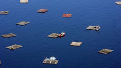 Uno de los seis pol�gonos de bateas en la r�a de Pontevedra