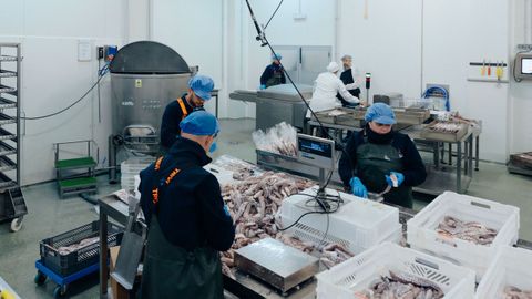 La empresa Frigorficos Arcos exporta su pulpo cocido a una veintena de pases del mundo