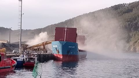 Polvareda generada por la carga de mineral en un barco, el mi&eacute;rcoles por la ma&ntilde;ana en el muelle comercial de Cari&ntilde;o