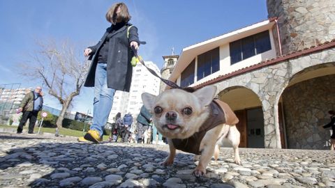 Bendici�n de mascotas en la iglesia de Campolongo