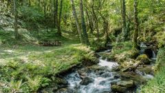 Ruta de los miradores de Navia