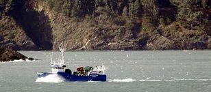 Hoy puede que los arrastreros de litoral intenten faenar, pero la mayor�a de bajura amarrar�.