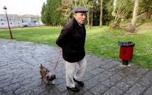 Las mascotas tambi�n podr�n correr libremente por el prado del parque Vald�s Bermejo.