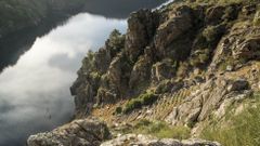 En la Rega de Ard�n se construyeron terrazas vit�colas a pesar de la pendiente extrema del terreno