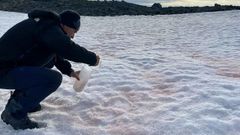 Muestreo de la presencia de algas rojas en la Ant�rtida