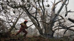 Bomberos de Asturias trabajan en las labores de extinci�n en un incendio foresta