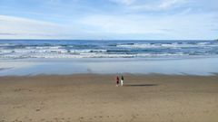 Playa de Salinas, en Castrill�n.