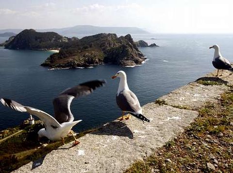 Los usuarios pueden consultar detalles sobre la fauna.