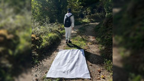 Las garrapatas son capturadas arrastrando sobre la vegetación una pieza de tela blanca