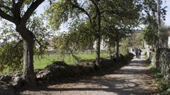 El Camino a su paso por A Pena (Paradela)