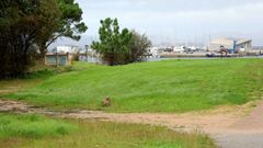 La finca anexa al campo de f�tbol de O Terr�n donde se va a levantar el complejo