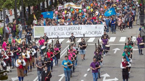 Vista de la manifestaci�n convocada hoy en Oviedo por la Xunta pola Defensa de la Llingua Asturiana para reivindicar la oficialidad del asturiano en el Principado