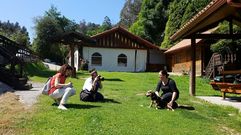 Herbie, el perro de la casa rural A Costa da �goa, en Carral, que acompa�a a los que hacen la ruta de los molinos