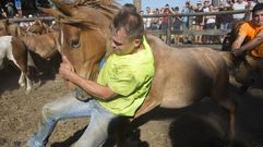 Las im�genes m�s espectaculares de la Rapa das Bestas de Vimianzo