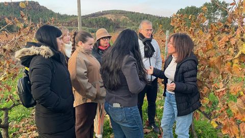 Miembros del proyecto y alumnos del M�ster en Direcci�n y Planificaci�n del Turismo Interior y de Salud en la bodega Triay, en Ver�n.