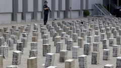 El alijo de cocanaincautado en A Pobra por la Polica Nacional, con la colaboracin de otros cuerpos