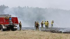 Los propietarios tienen la obligaci�n de gestionar la biomasa de sus parcelas para, entre otros motivos, evitar los incendios.