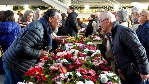 Imagen del concurso-exposici�n de Vigo en el a�o 2023