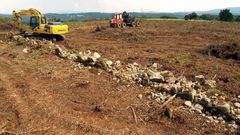 Trabajos de desbroce en los terrenos de la parroquia de Espasantes donde se lleva a cabo el proyecto vit�cola