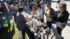 Intercambio de semillas en Meis