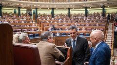 Pedro S�nchez durante una sesi�n plenaria en el Congreso de los Diputados.