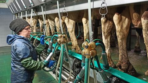 Isabel Ramos fue esta ma�ana a trabajar, como todos los d�as, a una granja de Mazaricos para realizar el orde�o