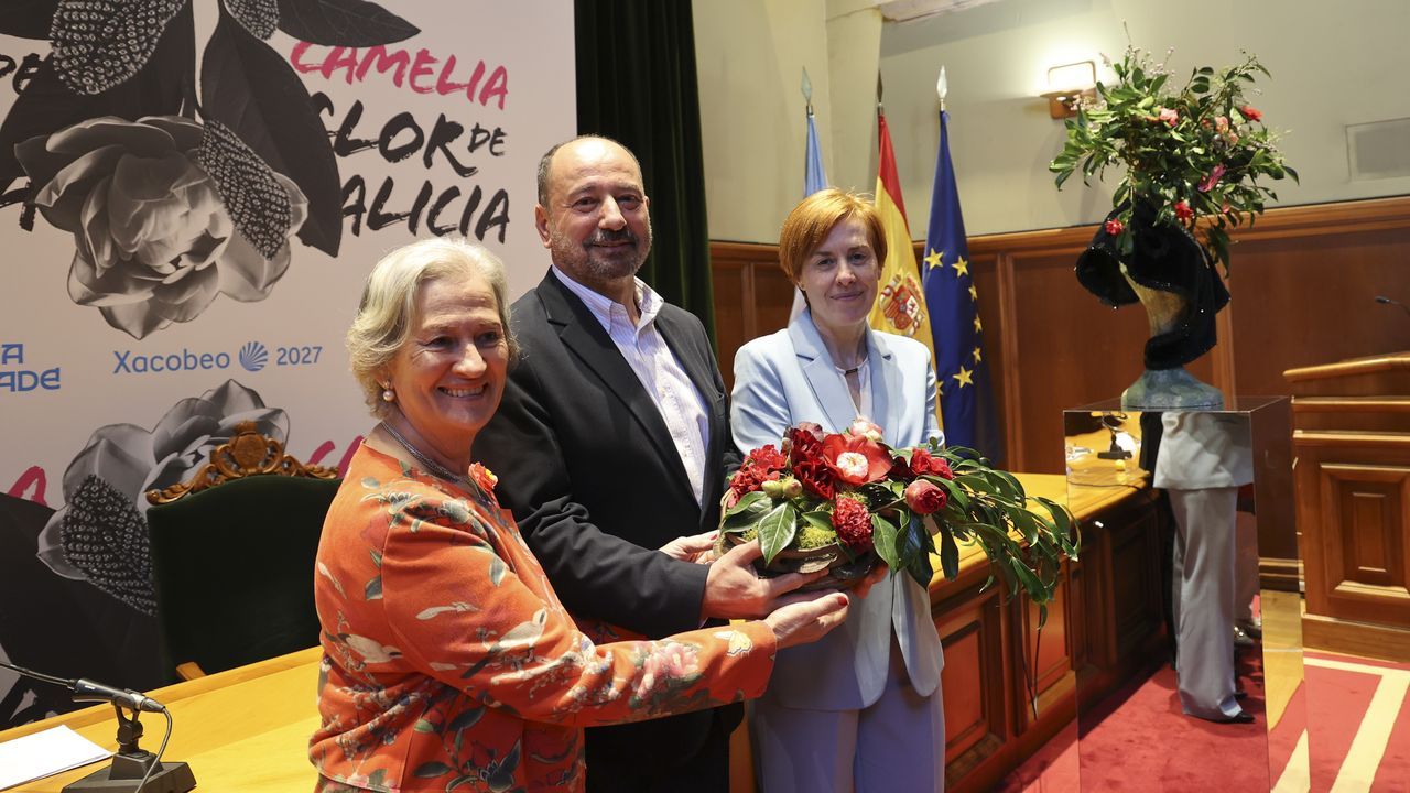 El Colexio de Fonseca exhibirá en Semana Santa más de 200 variedades de camelia