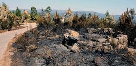 <span lang= es-es >Los molinos</span>. El Concello de Catoira ha decidido mantener la ruta de los molinos de viento prevista para el d�a 15, y eso pese a que las llamas estuvieron, esta vez, muy cerca del conjunto restaurado. Las viejas estructuras abandonadas no tuvieron tanta suerte.