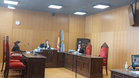 Varios agentes declararon por videoconferencia en el juicio en Ourense