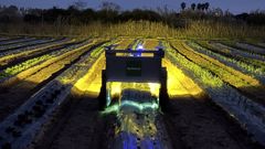 El tratamiento solo se puede aplicar de noche y a una velocidad constante