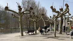 Ambiente de terraceo en el Malec�n de O Barco de Valdeorras