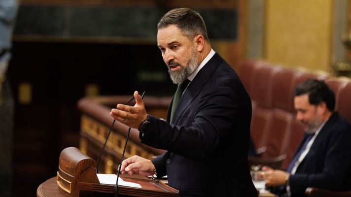 Santiago Abascal, en el Congreso
