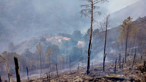 Paisaje quemado alrededor del poblado de A Chaira, propiedad de Iberdrola y que se salv por poco de las llamas