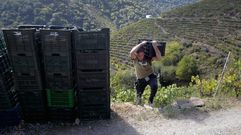 En Aosta solo pueden participar los vinos producidos en territorios de orograf�a complicada, como la de la Ribeira Sacra