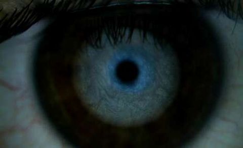 La cuarta tipolog�a es la marm�rea cerrada.