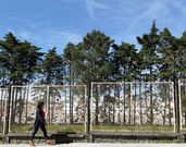 Alcampo debe renunciar a las tiendas secundarias si quiere implantarse en As Carolinas. 