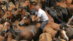 Rapada das Bestas de Sabucedo