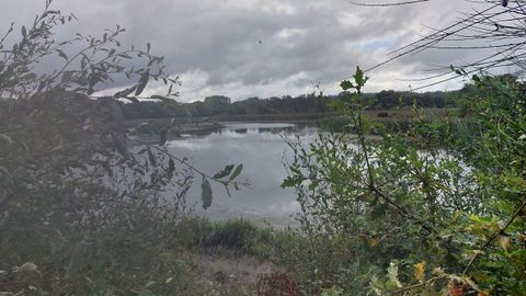 La laguna de Cospeito no acusa por ahora los efectos de la sequa