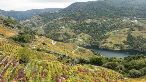 La nueva comisin interdepartamental velar por la conservacin de los valores del paisaje cultural de la Ribeira Sacra