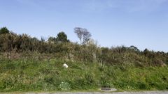 Los terrenos en los que se va a desarrollar el proyecto deportivo.