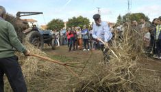 La iniciativa de celebrar una malla tradicional de Silleda alcanza esta ma�ana su cuarta edici�n.